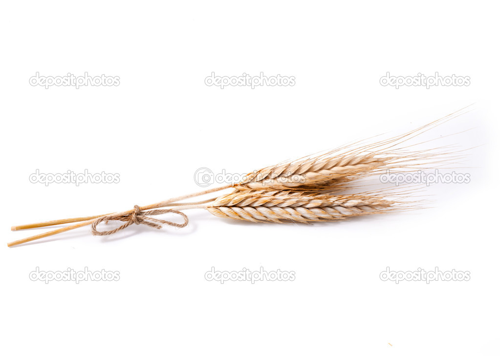 Wheat