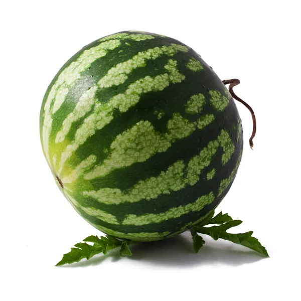 Wassermelone — Stockfoto