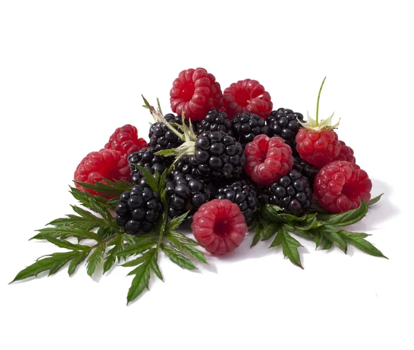 Berries — Stock Photo, Image