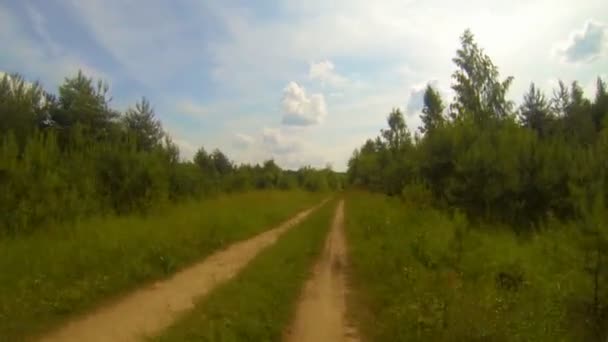 Route forestière — Video