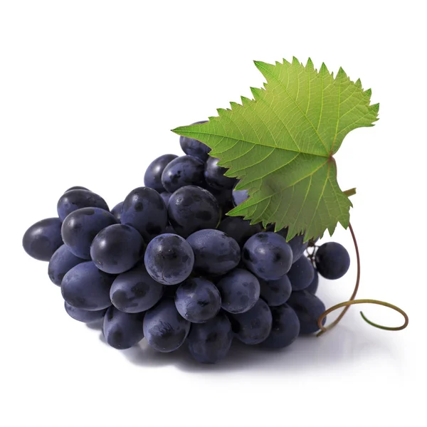 Grape — Stock Photo, Image