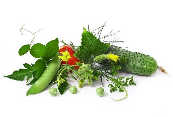 Vegetables — Stock Photo, Image