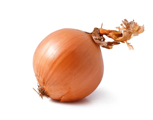 Onion — Stock Photo, Image