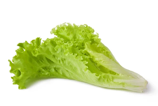 Kopfsalat — Stockfoto