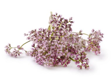 Valerian.