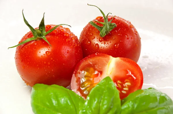 Basil en tomaten — Stockfoto