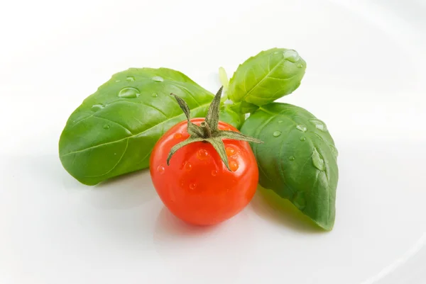 Bazalkou a rajčaty — Stock fotografie