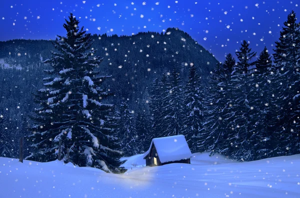 Winter Christmas — Stockfoto