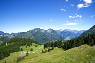 Alpin çayır allgau Almanya