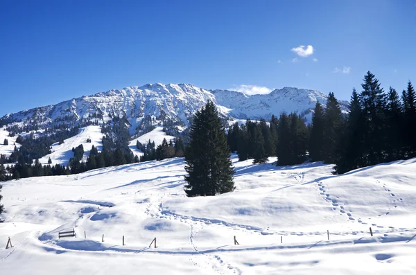 Invierno en Allgau — Foto de Stock