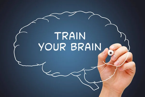 Handschrift Train Your Brain Auf Gezeichnetem Menschlichen Gehirn Mit Weißem lizenzfreie Stockfotos