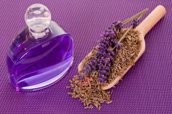 Dried lavender blossoms — Stock Photo, Image