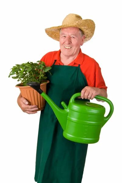 Jardineiro sênior com vaso de flores — Fotografia de Stock