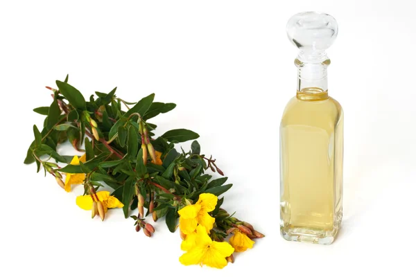 Evening primrose with oil bottle — Stock Photo, Image