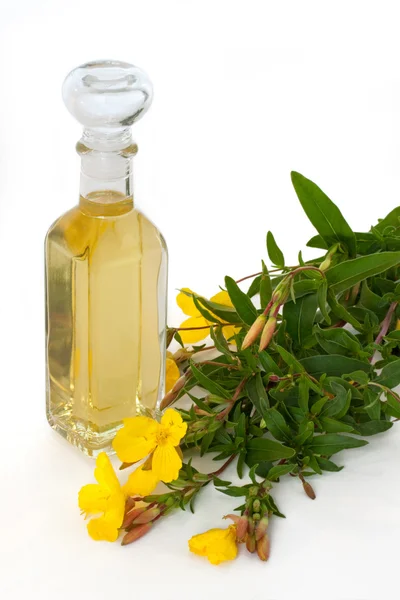 Evening primrose oil with blossoms — Stock Photo, Image