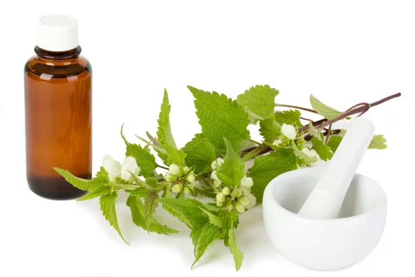 Stinging nettle with medicine bottle and mortar — Stock Photo, Image