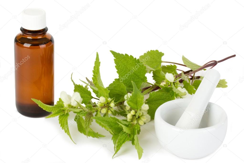 Stinging nettle with medicine bottle and mortar