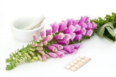 yüksük otu kalp ilaçları ile