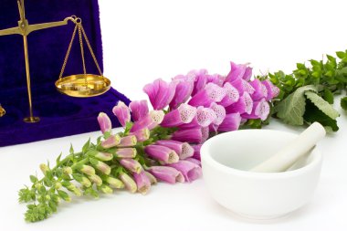 digitalis harcı ve ölçekler