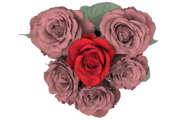 Сердце роз — стоковое фото