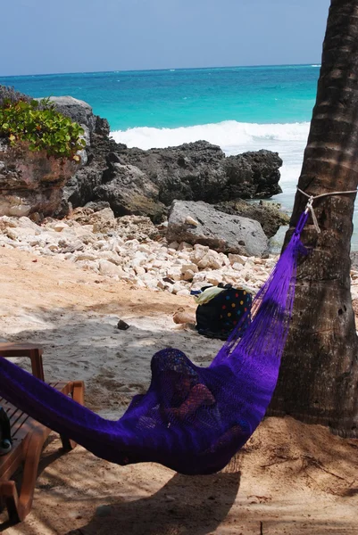 Little boy on the beach in the hammock