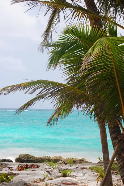 Luxury beach in Tulum — Stock Photo, Image