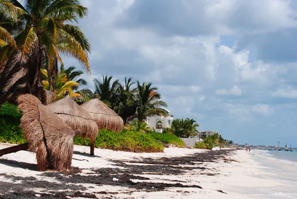 Beach in Mexico,Riviera Maya — Stock Photo, Image