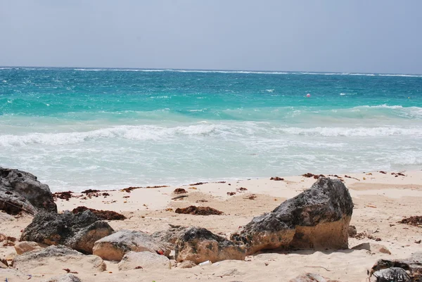 Райский пляж в Тулуме — стоковое фото