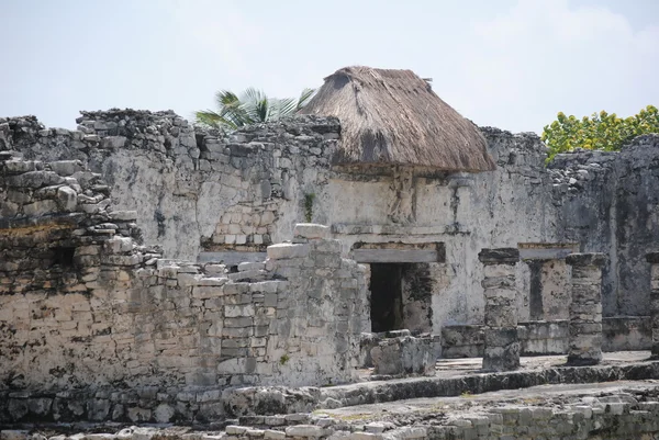 Ruinen in Tulum Stockbild