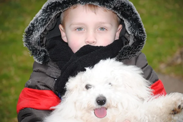 庭で犬と少年 — ストック写真