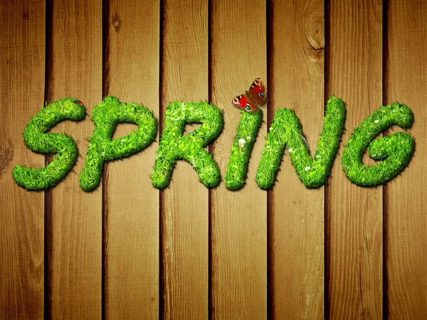 Gräs våren — Stockfoto