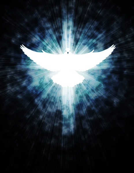 Shining dove with rays on a dark — Stock Photo, Image