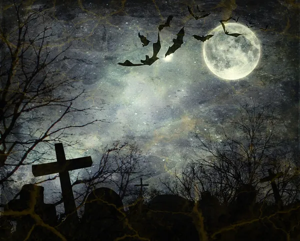 gece uçan yarasalar