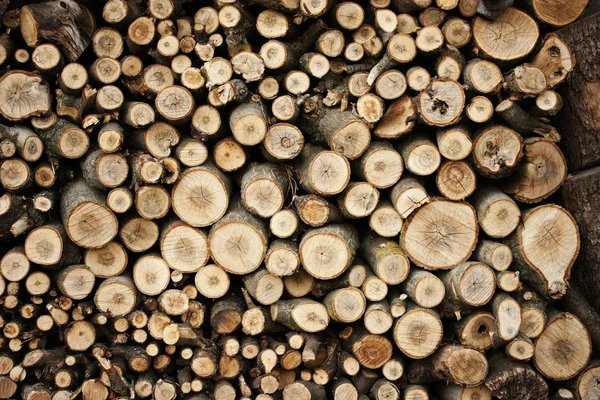 De madera aserrada — Foto de Stock