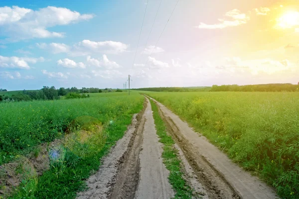 Carretera de campo —  Fotos de Stock