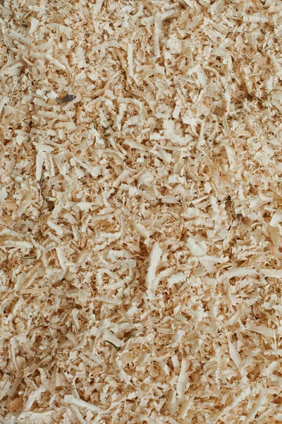 Wood shavings — Stock Photo, Image