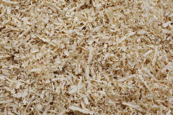 golden curls of wood shavings