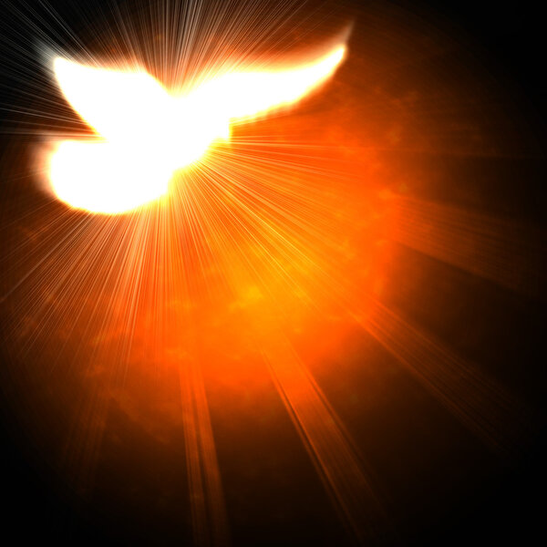 shining dove with rays on a dark