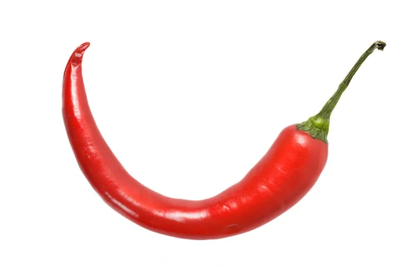 Red hot pepper Royalty Free Stock Images