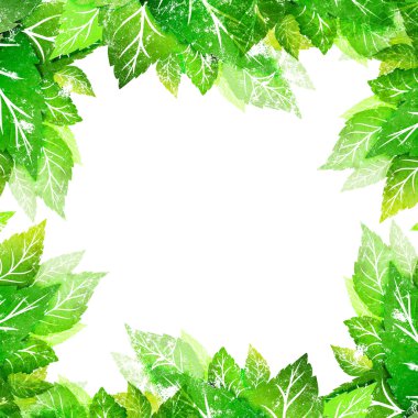 Beyaz yeşil yapraklar