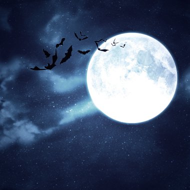 gece uçan yarasalar