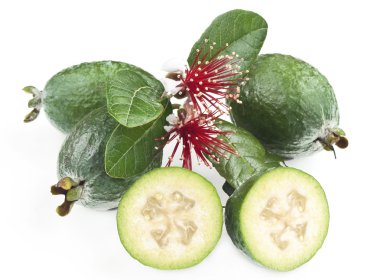 taze feijoa