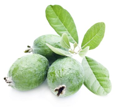 taze feijoa