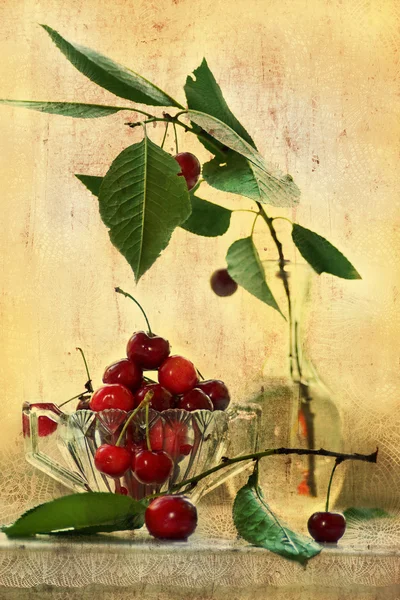 Cherry in vintage style — Stock Photo, Image