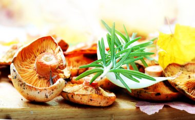 Safran süt kap mutfak