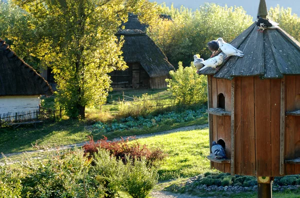 Ahşap güvercin yuvası Açık Hava Müzesi lublin, Polonya — Stok fotoğraf