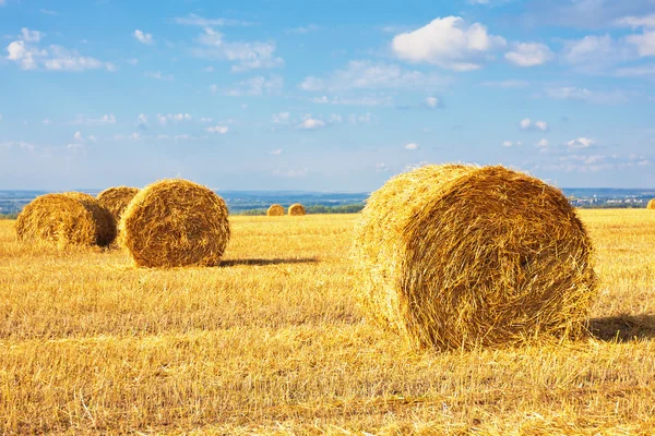 Hooibalen op het veld — Stockfoto