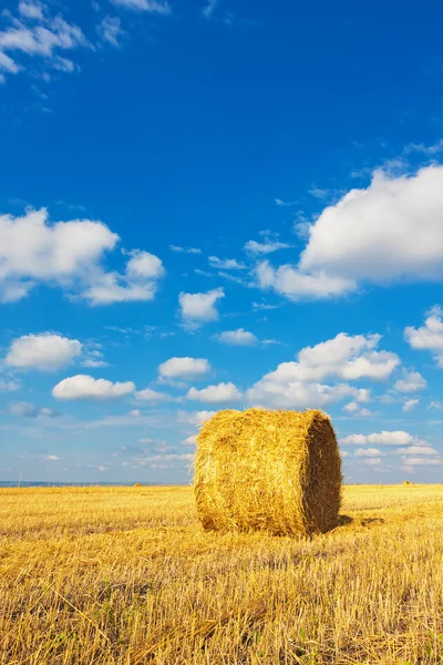 Hay bale on the field — Stock Photo, Image