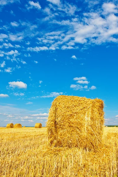 Balle di fieno sul campo — Foto Stock