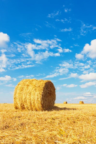 Hay bale on the field — Stock Photo, Image